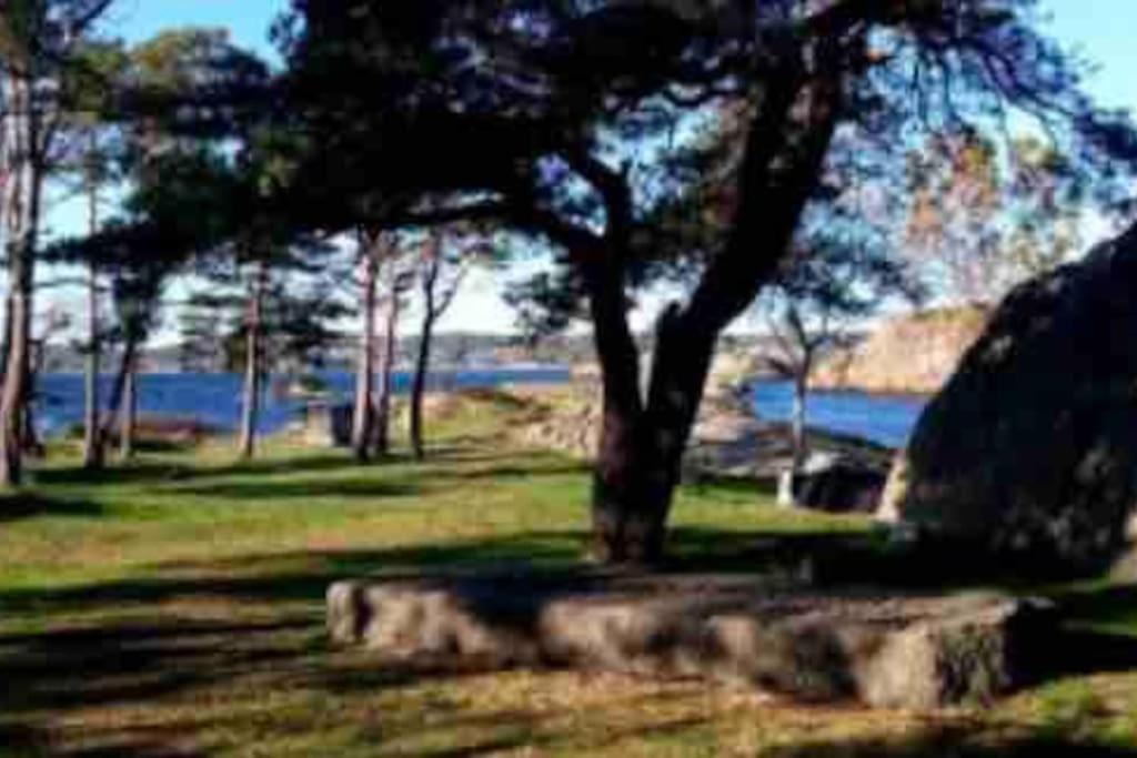 Idyllisk Lite Anneks Med Enestaende Uteplass 拉尔维克 外观 照片