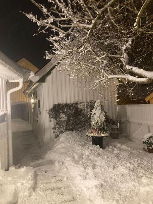 Idyllisk Lite Anneks Med Enestaende Uteplass 拉尔维克 外观 照片