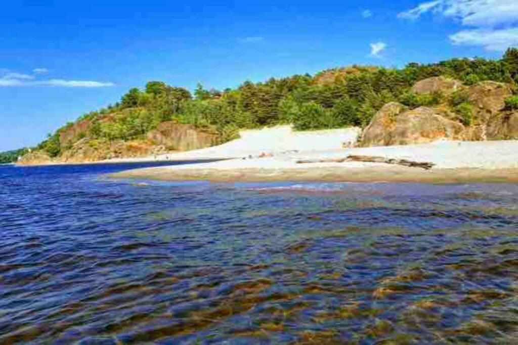 Idyllisk Lite Anneks Med Enestaende Uteplass 拉尔维克 外观 照片